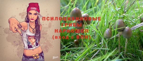 а пвп мука Армянск