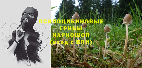 мяу мяу кристалл Арсеньев