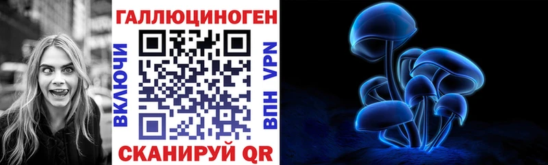 Псилоцибиновые грибы мицелий  где купить   Стародуб 