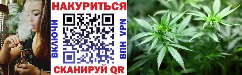 Марихуана семена  как найти закладки  Стародуб 